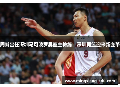 周鹏出任深圳马可波罗男篮主教练，深圳男篮迎来新变革